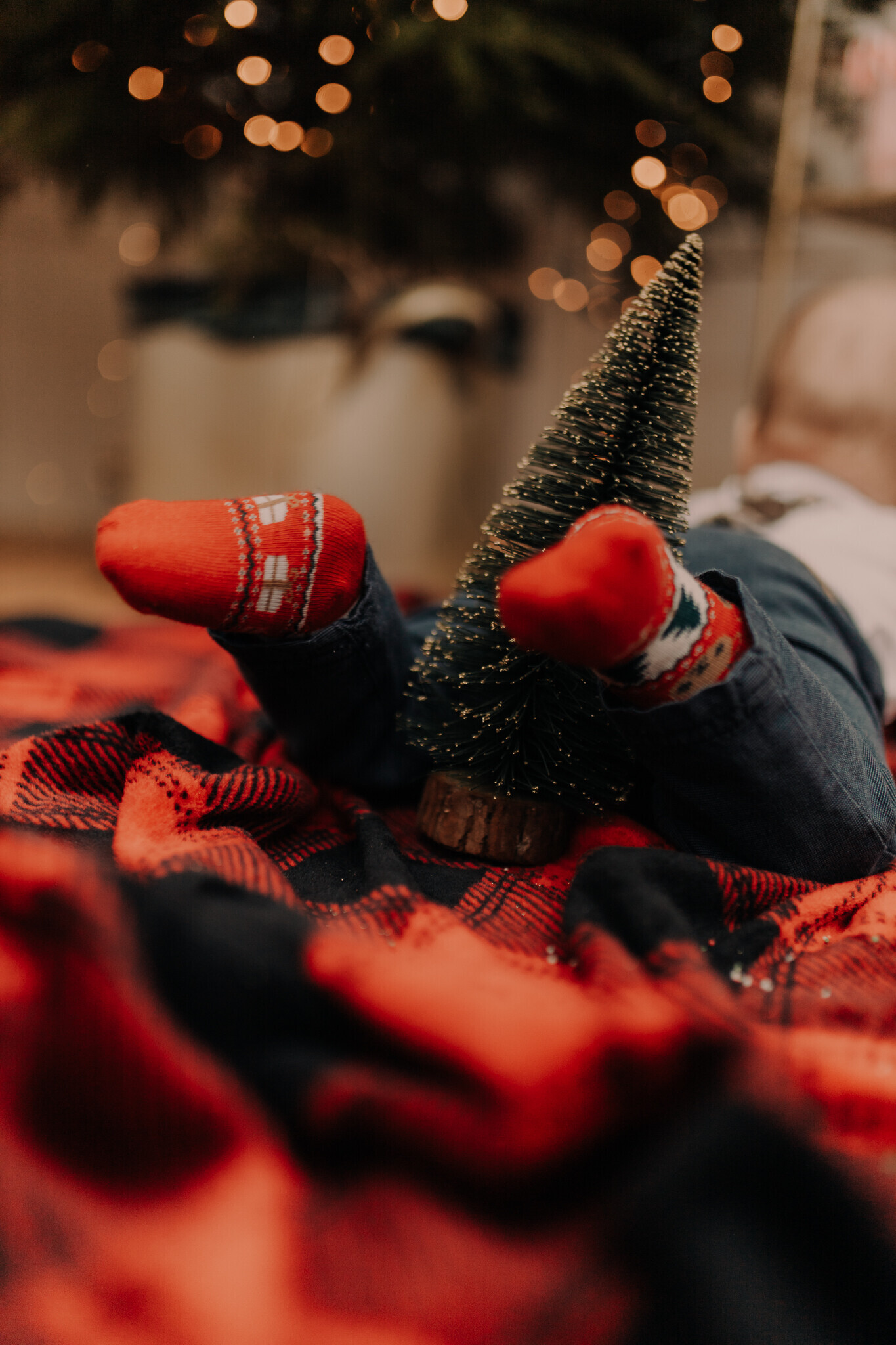 swiateczna-sesja-szklarnia-sieradz.jpg Świąteczna sesja w szklanym studio Sieradz – ciepła i klimatyczna atmosfera