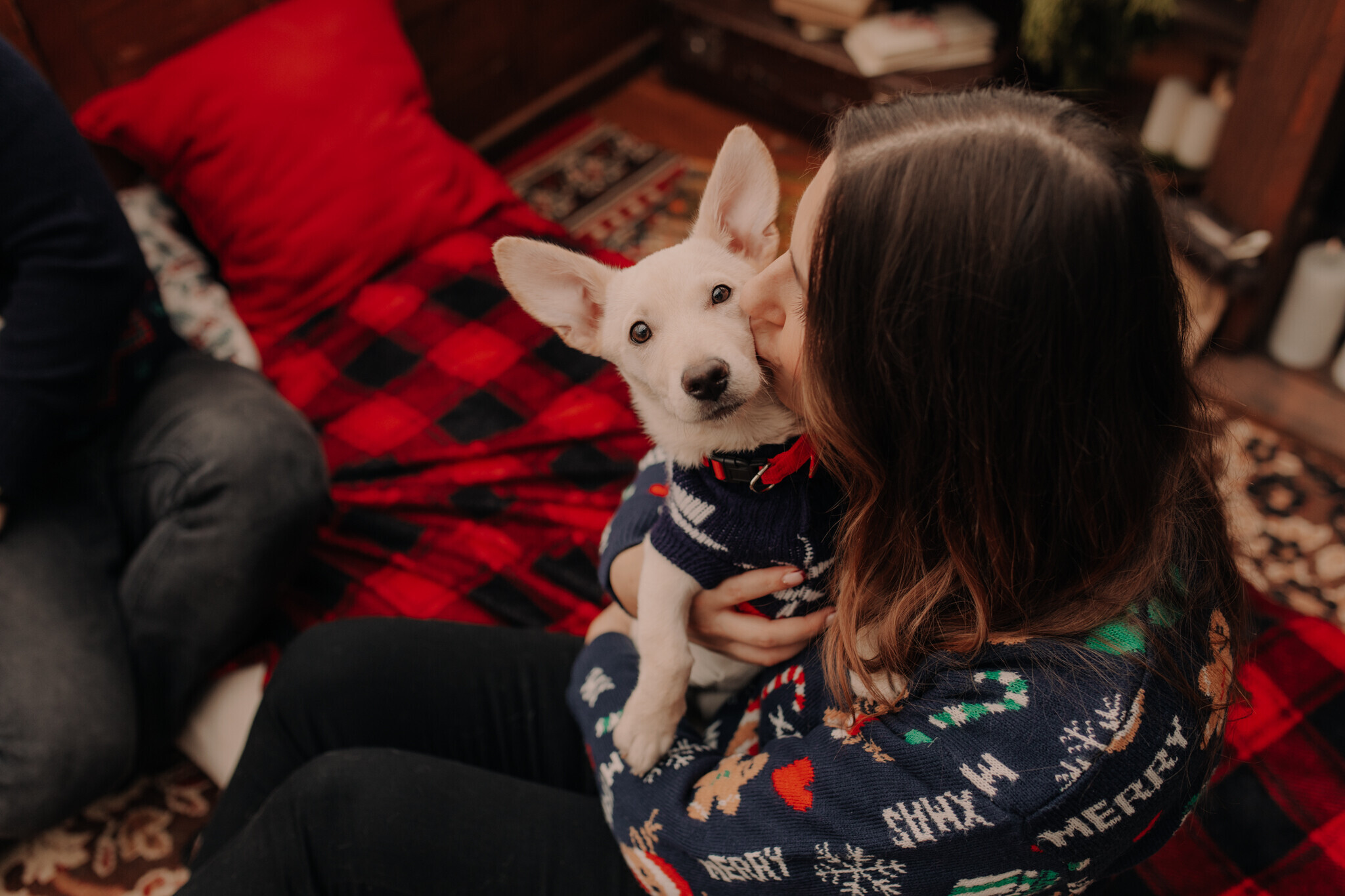 swiateczna-sesja-szklarnia-zdunska-wola.jpg Świąteczna sesja w szklanym studio Sieradz – ciepła i klimatyczna atmosfera, sesja z psem