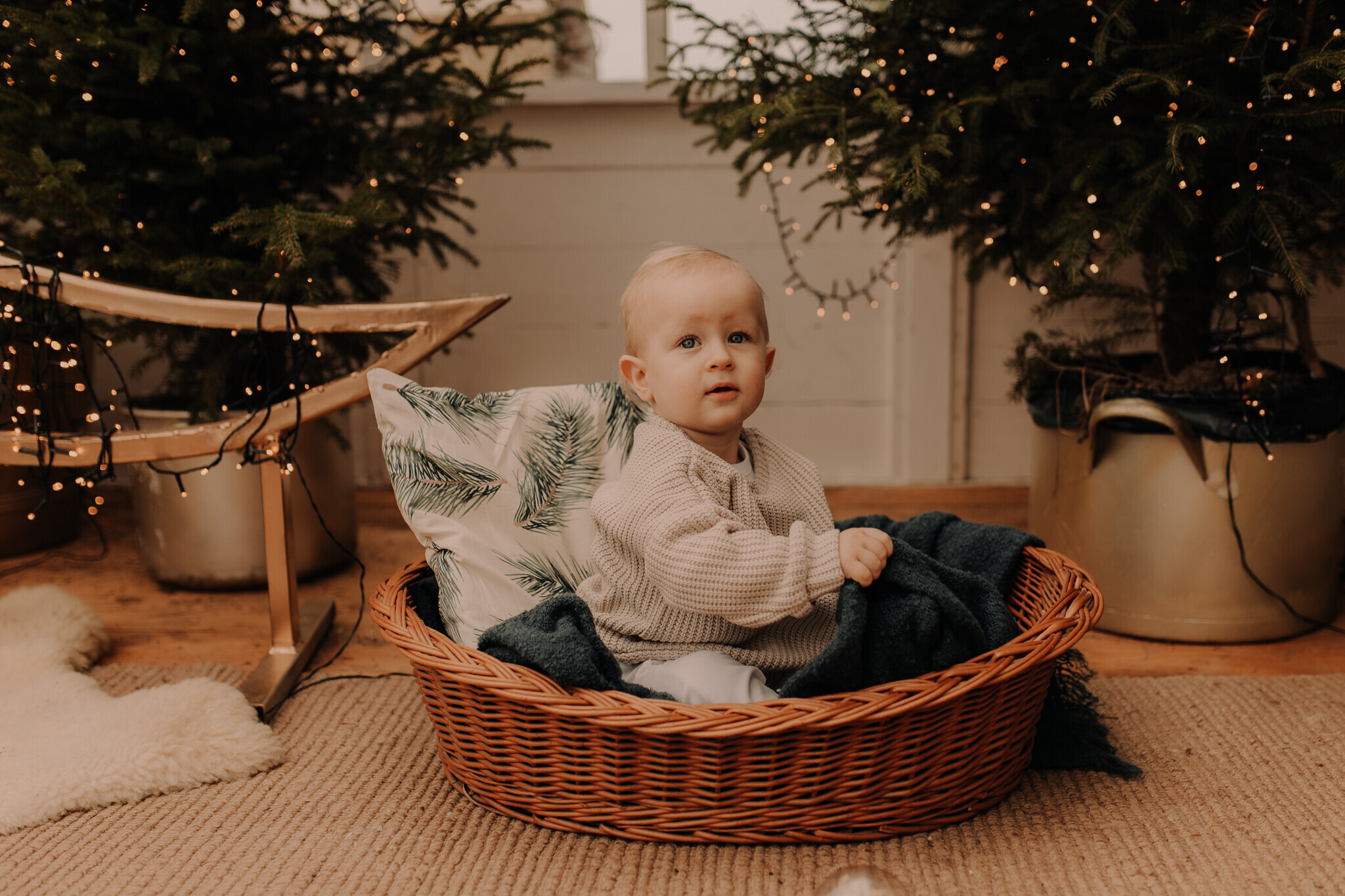 swiateczna-sesja-szklarnia-sieradz.jpg Świąteczna sesja w szklanym studio Sieradz – ciepła i klimatyczna atmosfera