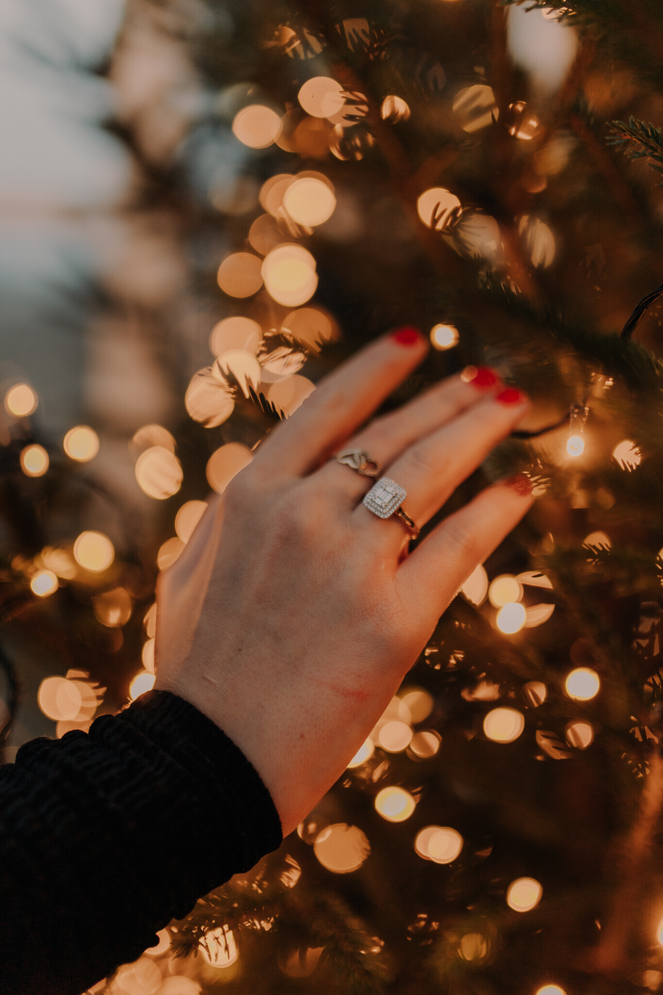 swiateczna-sesja-szklarnia-sieradz.jpg Świąteczna sesja w szklanym studio Sieradz – ciepła i klimatyczna atmosfera